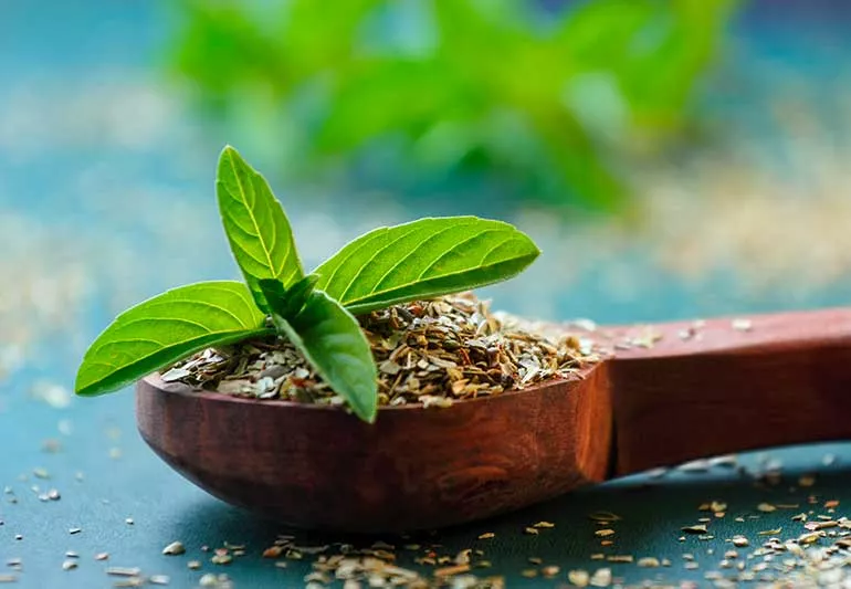 Cách sử dụng tulsi: Bí quyết chăm sóc da tự nhiên với thảo dược holy basil