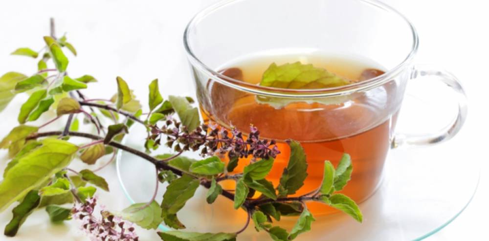 Cách sử dụng tulsi: Bí quyết chăm sóc da tự nhiên với thảo dược holy basil